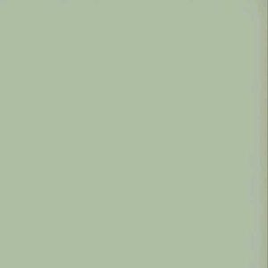 Sage Green Wide Leg Trousers