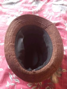 Brown Fedora Hat