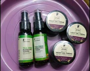 Each Item 799 Coins Pilgrim Toner + Night Cream