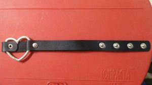 Heart Choker Necklace