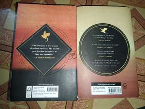 Fourth Wing &amp; Iron Flame