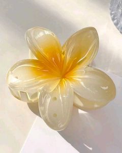 Flower Hair Claw Clips (Pack Of 2)