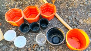 Plant Pot For Beginners