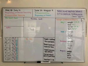 Whiteboard 🤍📝