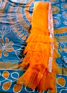 Orange Net Dupatta