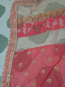 Half Net Sadi With Blause