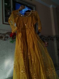 Mirror Mustard Work Gown