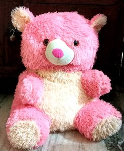 Bubbly The Teddy 🐻✨