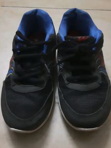 Campus Shoes
