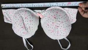 Flamingo Print Bra 🔥