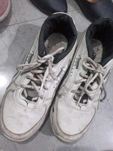 Puma Sports Shoes