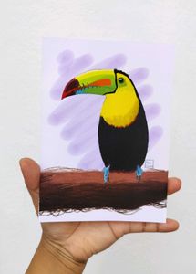 Toucan- Unframed Artwork