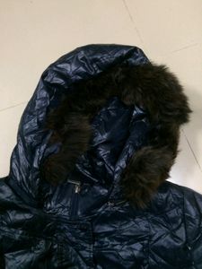 Crocodile Jacket - Women