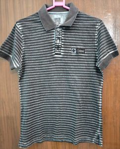 Turtle Polo T-Shirt