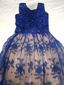 Elegant Blue Ethnic Gown