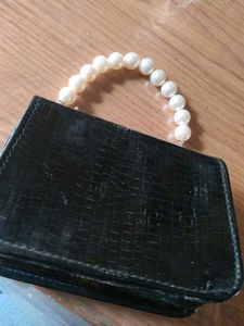Chic Black Mini Bag