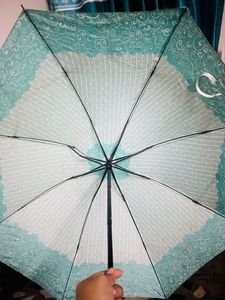 Foldable Umbrella