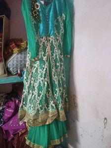 Sea Green Ethnic Gown In Good Condition