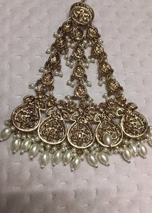 Elegant Pakistani Paasa