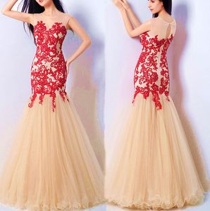 Elegant Ethnic Gown