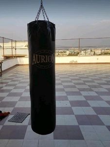 Final Offer !! Punching Bag - Big