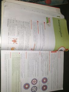 Mtg Ncert At Your Fingertips Bio For Neet