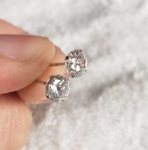 Pure Silver Zircon Stud Earrings
