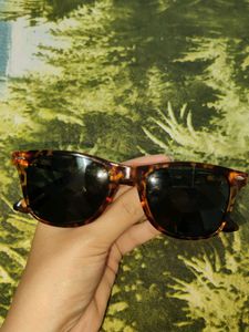 Trendy Sunglasses