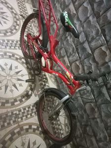Used Bicycle