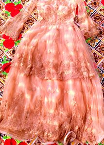 Elegant Peach Net Gown with Embroidery Work