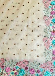 Elegant cream net saree