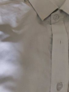 Classic Off White Shirt