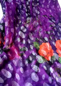 Pure Chiffon Saree 2