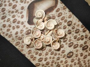 Never Worn Shell Bracelet
