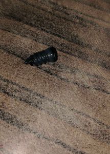 10 pcs Tubeless Tire Repair Rubber Screw