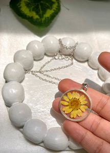 Elegant Daisy