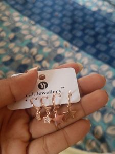 Pure Rose Gold Earrings