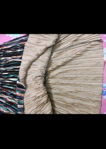 Multi-colored Stripped Pleated Skirt