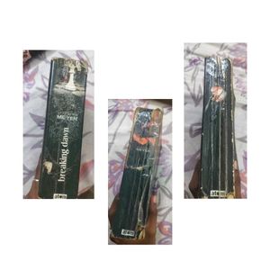 3 Books - New Moon, Eclipse &amp; Breaking Dawn