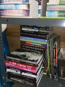 Huge Book Collection - Mystery, Romance &amp; More!