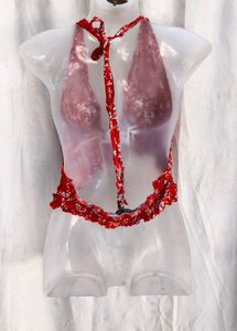 4151. Red Floral Halter Crop Top