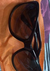 Brown Sunglasses