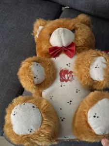 Teddy Bear Soft Toys