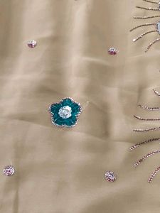 Elegant Embellished Saree