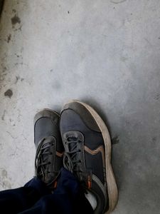 Grey Sports Shoe