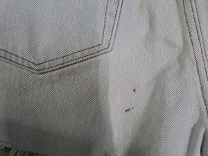 &amp;other Stories Light Blue Short