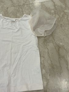 Zara Organza Sleeves Top