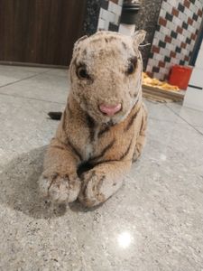 Combo - Tiger  + Tedy Bear + Doll