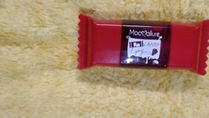 Lip Gloss (Lip Tint Type)