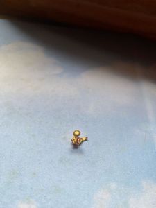 Gold nose pin 📌